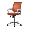 Luzia Study Chair