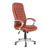 Evander Ergonomic chair