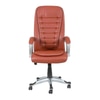 Evander Ergonomic chair