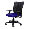 Thane Ergonomic chair