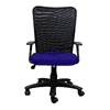 Thane Ergonomic chair