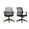 Bedelia Ergonomic chair