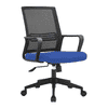 Bedelia Ergonomic chair