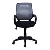 Fenton Ergonomic chair
