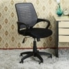 Fenton Ergonomic chair