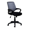 Fenton Ergonomic chair