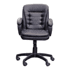 Linza Ergonomic chair