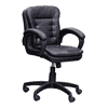 Linza Ergonomic chair