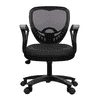 Augustina Ergonomic chair