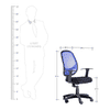 Dianthe Ergonomic chair
