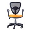 Jacy Ergonomic chair