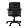 Pereg Ergonomic chair
