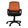 Pereg Ergonomic chair