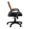 Pereg Ergonomic chair