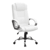 Buttam Leatherette Swivel Study Chair in White Colour