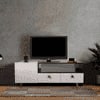 Zaiden TV Unit