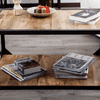Devi Industrial Coffee Table