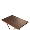 Walnut Engineered Wood Side Table in Matte Finish