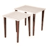 Herringbone Solid Wood Nested End Table in Paper Finish - Set of 2