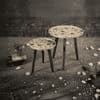 Floral Solid Wood Nested End Table in Paper Finish - Set of 2