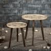 Floral Solid Wood Nested End Table in Paper Finish - Set of 2