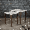 Bliss Solid Wood Rectangular Nested End Table in Paper Finish - Set of 2