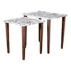 Bliss Solid Wood Rectangular Nested End Table in Paper Finish - Set of 2