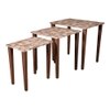 Hexagon Patches Solid Wood Nested End Table in Laminate Finish - Set of 3