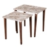 Palmbronze Solid Wood Rectangular Nested End Table in Paper Finish - Set of 2