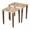 Paisley Solid Wood Nested End Table in Paper Finish - Set of 2