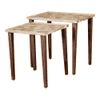 Paisley Solid Wood Nested End Table in Paper Finish - Set of 2