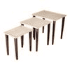 Chevron Solid Wood Nested End Table in Paper Finish - Set of 3