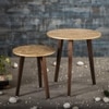 Gold Leaves Solid Wood Nested End Table in Paint Finish - Set of 2