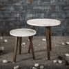 Kaarigari Solid Wood Nested End Table in Paper Finish - Set of 2