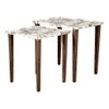 Pakshi Solid Wood Rectangular Nested End Table in Paper Finish - Set of 2