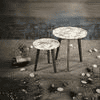 Pakshi Solid Wood Round Nested End Table in Paper Finish - Set of 2