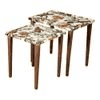 Plushwilderness Solid Wood Rectangular Nested End Table in Paper Finish - Set of 2