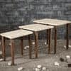 Jungle Solid Wood Nested End Table in Paper Finish - Set of 3