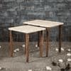 Jungle Solid Wood Nested End Table in Paper Finish - Set of 2
