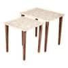 Jungle Solid Wood Nested End Table in Paper Finish - Set of 2