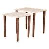Jungle Solid Wood Nested End Table in Paper Finish - Set of 2