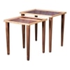 Peach Solid Wood Side Table in Pink Finish - Set of 2