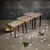 Honeycomb Solid Wood Nested End Table in Paper Finish - Set of 3