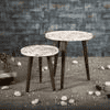 Blossom Solid Wood Round Nested End Table in Paper Finish - Set of 2
