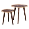 Redgoldpaisley Solid Wood Nested End Table in Paper Finish - Set of 2