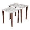 Ryleigh Solid Wood Nested End Table in Paper Finish - Set of 2