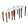 Leherein Solid Wood Side Table in White Finish - Set of 3