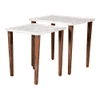 Leherein Solid Wood Nested End Table in Paper Finish - Set of 2