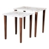 Tehni Solid Wood Nested End Table in Paper Finish - Set of 2