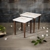Tehni Solid Wood Nested End Table in Paper Finish - Set of 2